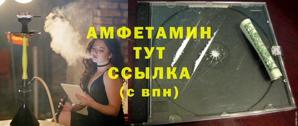 шишки Алзамай