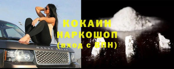твердый Абаза