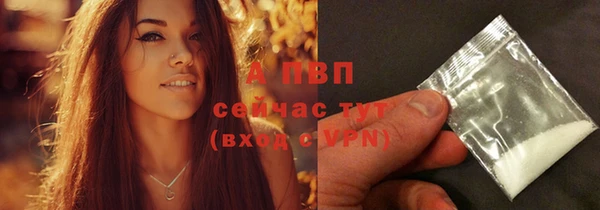 твердый Абаза