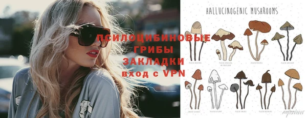 твердый Абаза