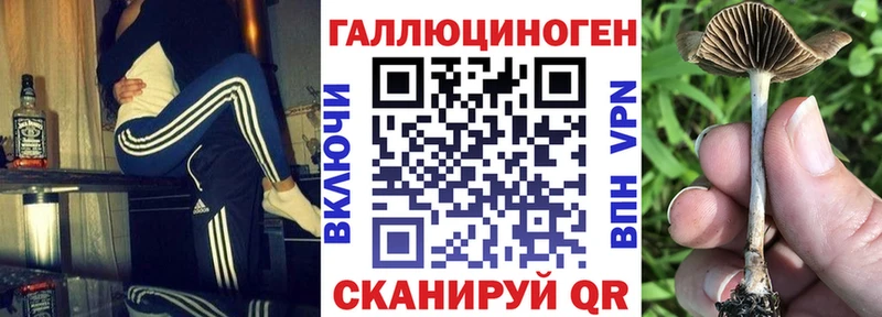 сайты даркнета клад  Краснодар  Псилоцибиновые грибы ЛСД  mega зеркало 